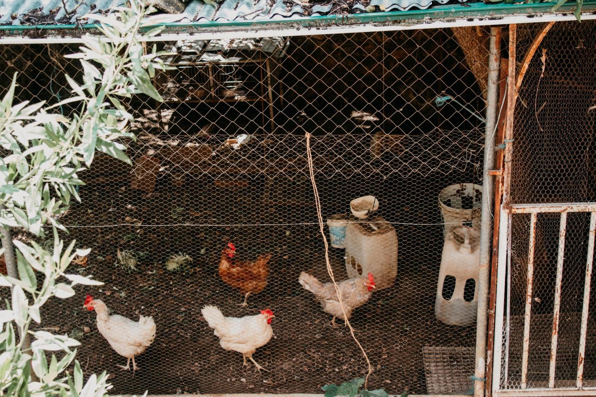 Apartamentos El Callejon Riópar Dış mekan fotoğraf